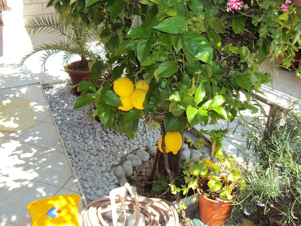 Apartment Lemon Дубровник Екстер'єр фото